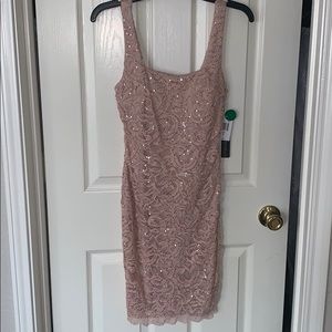 ⬇️$40 NWT blush Cocktail dress